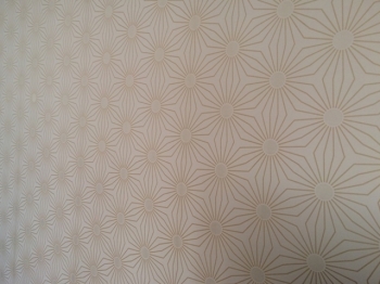 Aplicalção de Papel de Parede